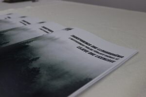 TRANSPARENCA DHE LLOGARIDHËNIA E INSTITUCIONEVE PUBLIKE PËRGJATË DHËNIES SË LEJEVE DHE LICENCAVE